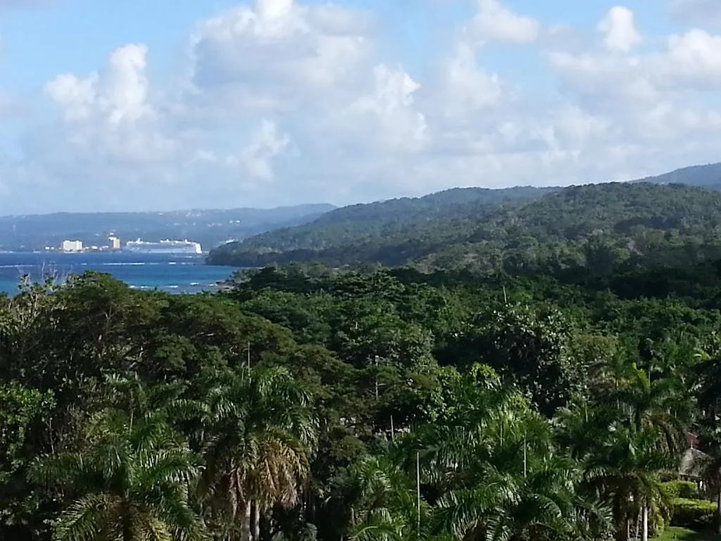 One Luxe Jamaica Villa With Private Pool, Modern Interior And Secluded Jamaica