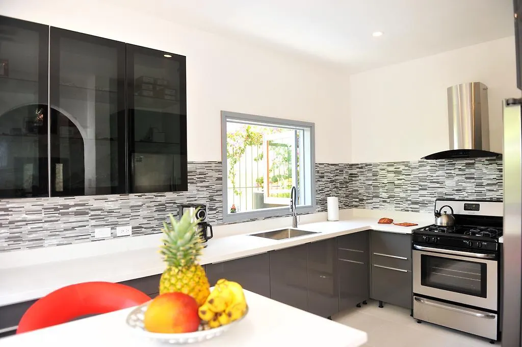 One Luxe Jamaica Villa With Private Pool, Modern Interior And Secluded